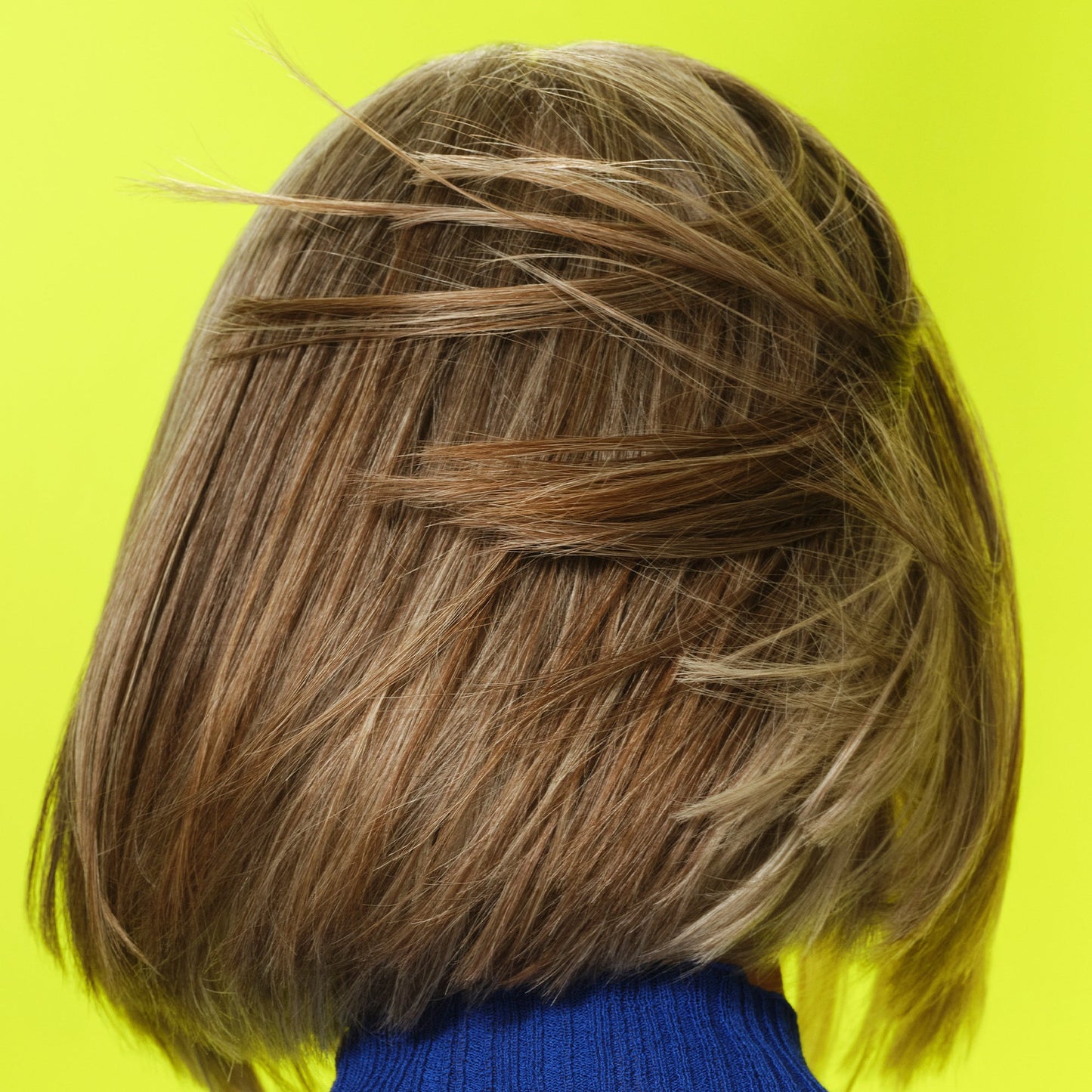 frizz-to-rizz-trio-z7 111725_Vicky_HumidityAntifrizz-Editorial_0538_w2QC_IGF_1x1_05a09617-4ccf-44a2-8545-199321a503e1.jpg