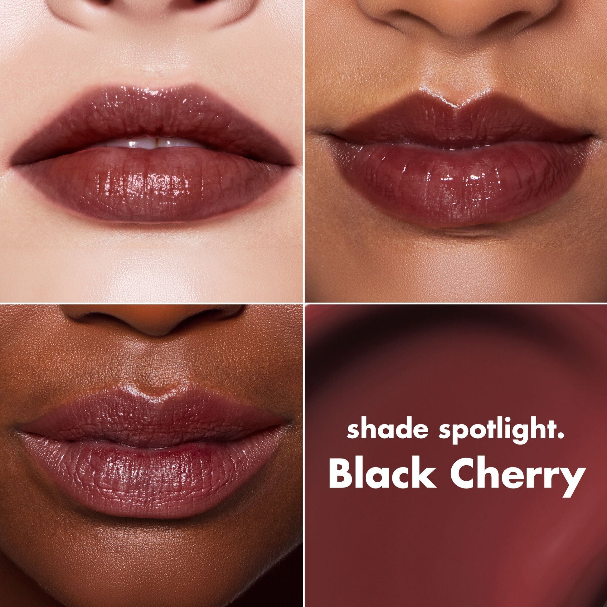 lip-lacquer-f7 0426_EDU_LipLaquer_ShadeChart_BlackCherry.jpg