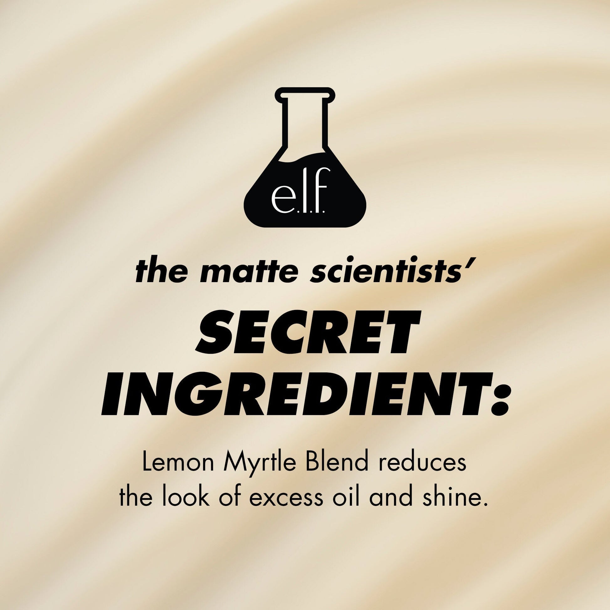 power-grip-matte-primer-s2 1224_EDUCATION_PGMATTE_INGREDIENT_b9de063f-aeb5-403f-9709-c3cafbf9c9d1.jpg