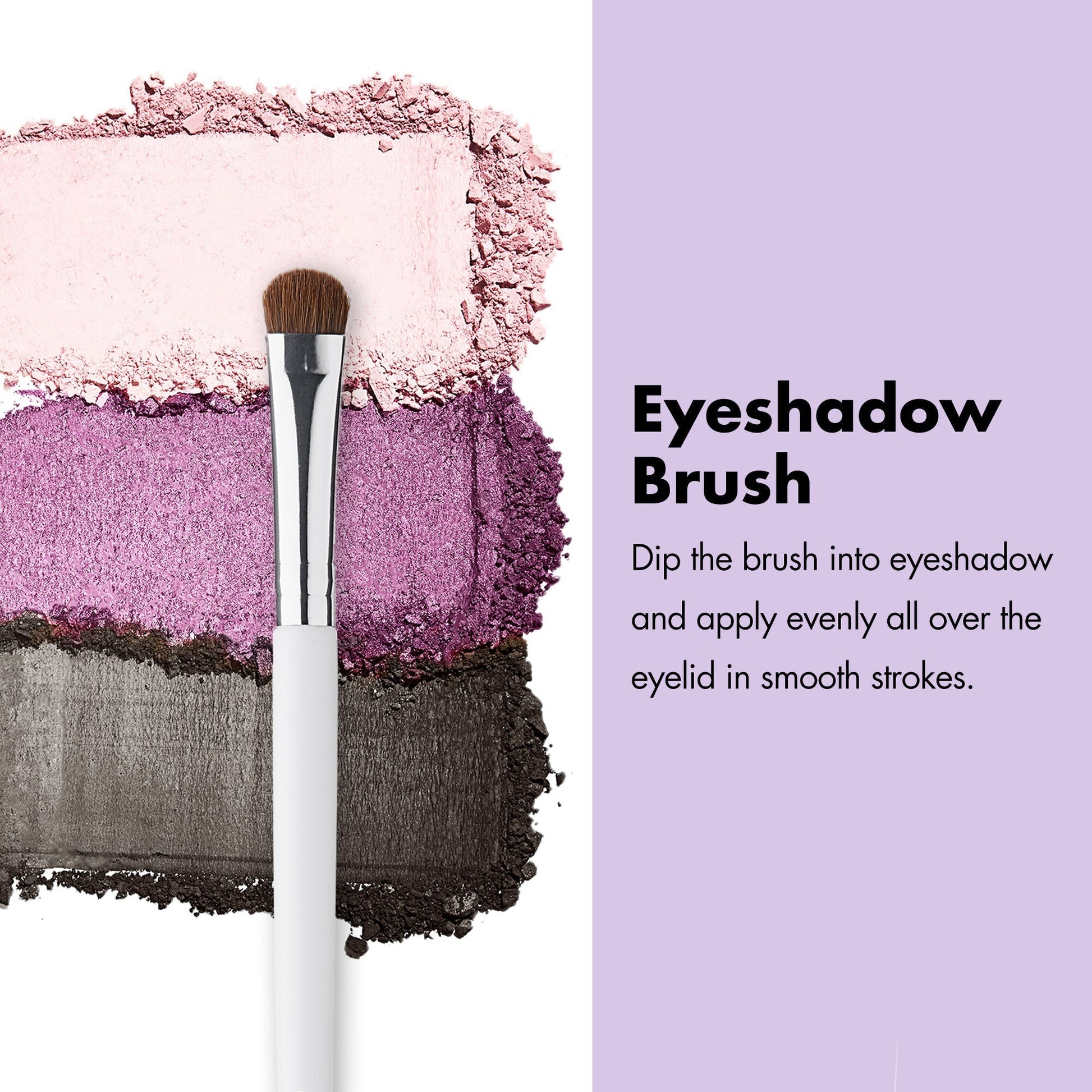 professional-set-of-12-makeup-brushes-p2 ProfessionalBrushes_Eye_EyeshadowBrush_PDP_Edu_2000x2000_2418e3b8-bb65-4e6d-af53-e6d0aab002ae.jpg